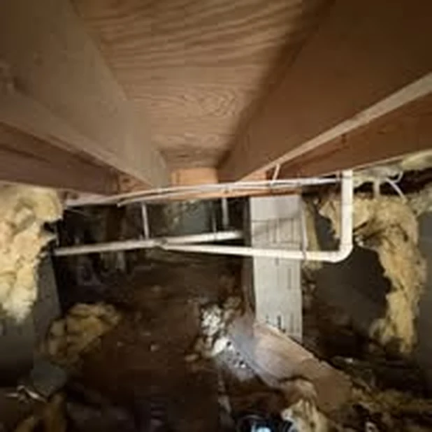 Insulated plumbing lines